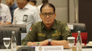 Harga Pangan Global Tekan Stabilitas Ekonomi Negara